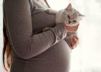 Toxoplasma is a common parasite that causes birth defects – but the US doesn’t screen for it during pregnancy