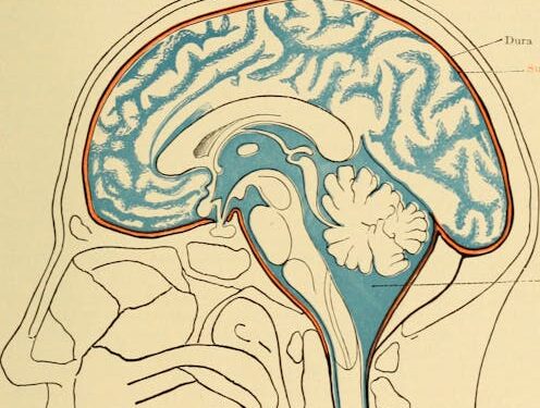 Fluid keeps your brain from crushing itself and shields your spine from shock – a neurologist explains what happens when it stops working