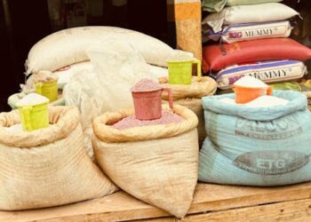 Sierra Leone is working to transform its food system, but it faces mounting challenges