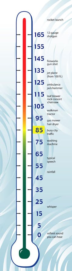 An illustration of a chart, somewhat shaped like a thermometer, which shows the decibel levels of many loud sounds.