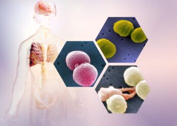 At the UN, world leaders are negotiating the biggest health issue you’ve never heard of