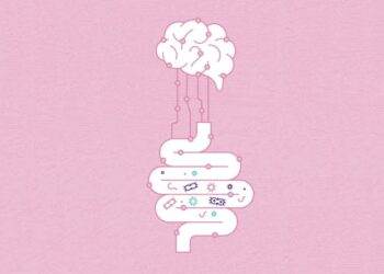 Gut microbe imbalances could predict a child’s risk for autism, ADHD and speech disorders years before symptoms appear