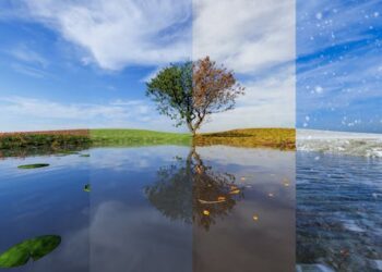 Seasonal change can affect people’s moods — and their moral values