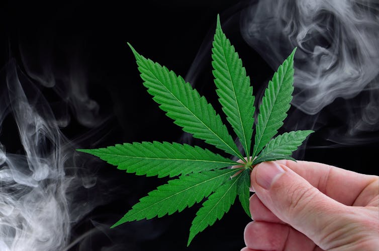 A person's hand holds a cannabis leaf while smoke swirls in the background.