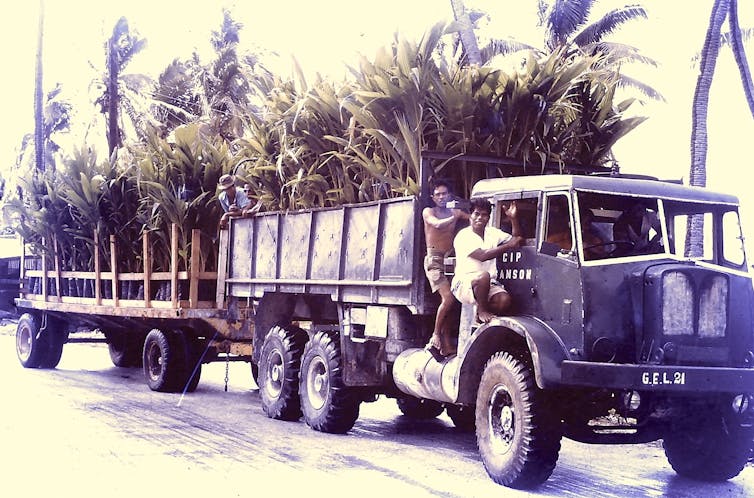 Two men riding on a coconut plantation truck in Kiritimati