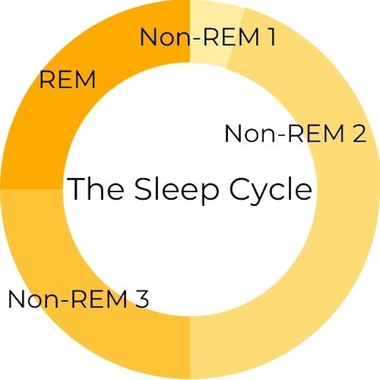 Segments of a circle indicate the four stages of the sleep cycle: Non-REM 1, Non-REM 2, Non-REM 3, and REM.