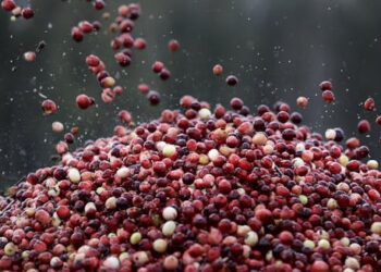 No need to overload your cranberry sauce with sugar this holiday season − a food scientist explains how to cook with fewer added sweeteners