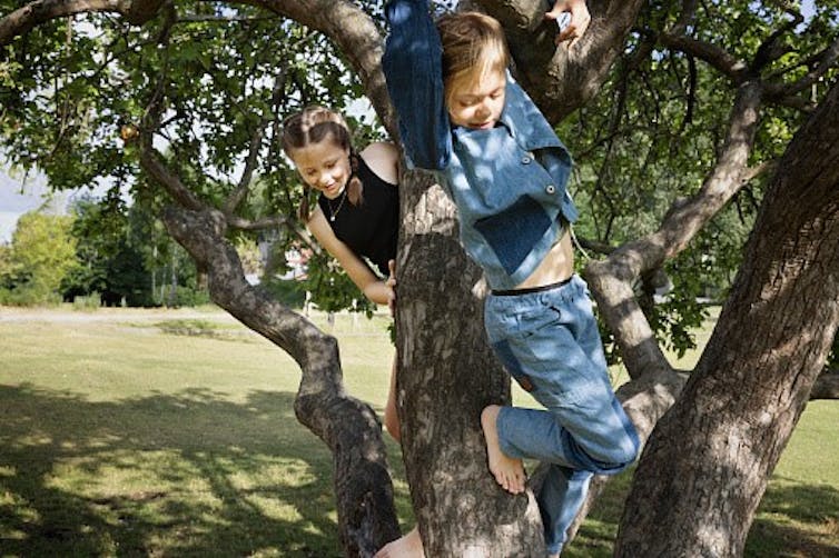 Two young girls climb an oak tree.