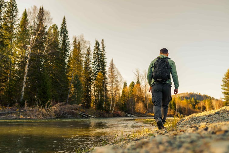 A man carrying a backpack goes for a hike near a forest.