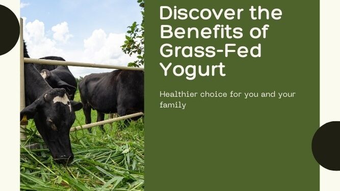 Grass-Fed Yogurt Benefits: Why It’s Healthier, Better, and Worth the Hype