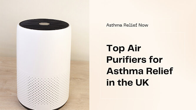 Best Air Purifiers in the UK for Managing Asthma