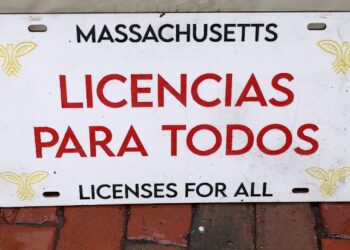 Providing driver’s licenses to undocumented immigrants improves birth outcomes, research shows
