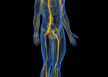 Why does it hurt when you get a scrape? A neuroscientist explains the science of pain