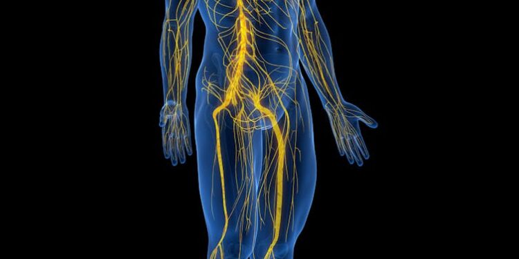 Why does it hurt when you get a scrape? A neuroscientist explains the science of pain