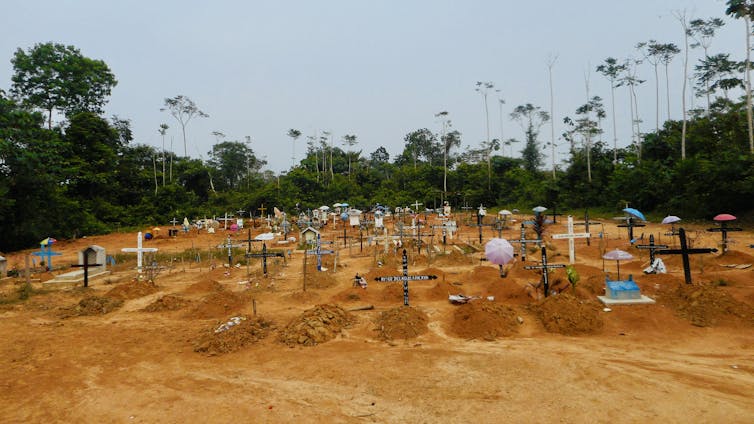 Rows of graves, with mounds of earth topped with crosses, with a forest surround in the background.