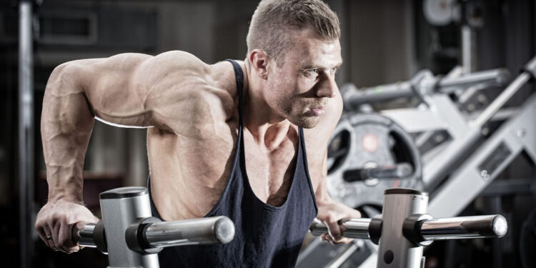 5 Dip Alternatives That Won’t Sacrifice Gains or Risk Injury