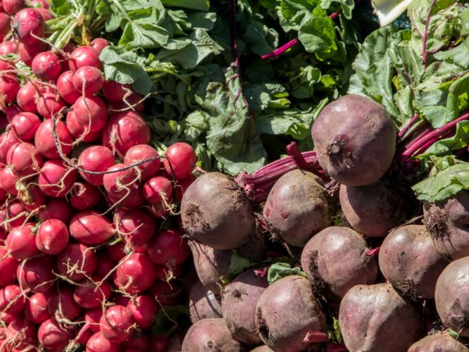 beets and radishes
