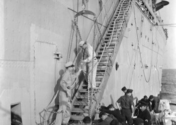 US dodged a bird flu pandemic in 1957 thanks to eggs and dumb luck – with a new strain spreading fast, will Americans get lucky again?