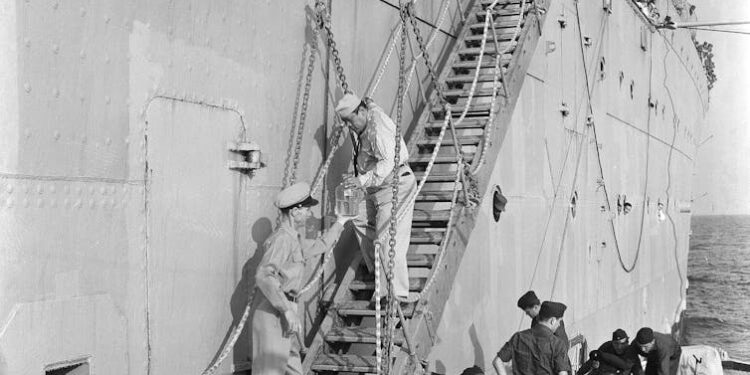 US dodged a bird flu pandemic in 1957 thanks to eggs and dumb luck – with a new strain spreading fast, will Americans get lucky again?