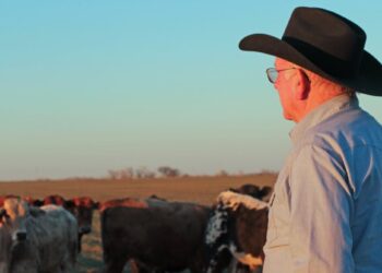 Rural Americans don’t live as long as those in cities − new research