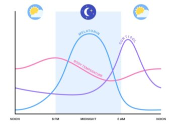 Poor sleep and addiction go hand in hand − understanding how could lead to new treatments for opioid use disorder
