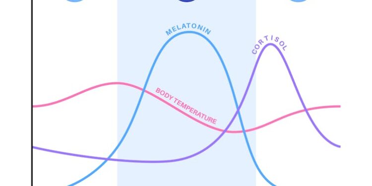 Poor sleep and addiction go hand in hand − understanding how could lead to new treatments for opioid use disorder
