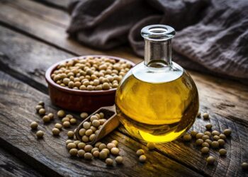 Seed oils are toxic, says Robert F. Kennedy Jr. – but it’s not so simple