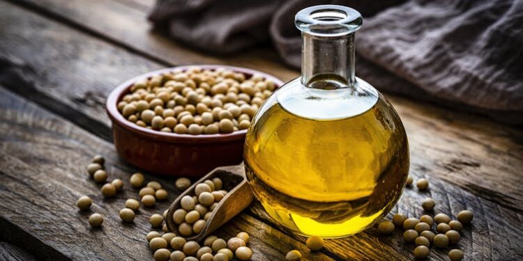 Seed oils are toxic, says Robert F. Kennedy Jr. – but it’s not so simple