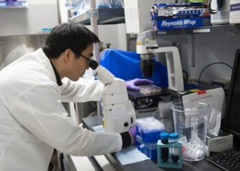 NIH funding cuts will hit red states, rural areas and underserved communities the hardest