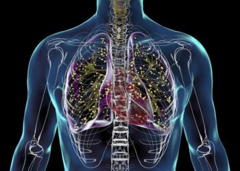 As tuberculosis cases rise in the US and worldwide, health officials puzzle over the resurgence of a disease once in decline