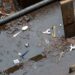 Philly’s street fentanyl contains an industrial chemical called BTMPS that’s an ingredient in plastic