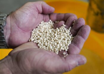 Plant-based plastics could help reduce the millions of tonnes of medical waste hospitals generate each year