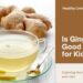 Should You Drink Ginger Tea for Kidney Health? What Science Says