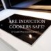 Are Induction Cookers Safe — and Could They Cause Cancer?