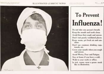 How bird flu differs from seasonal flu − an infectious disease researcher explains