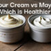 Sour Cream vs Mayo: Which One’s Healthier (and What’s the Real Difference)?