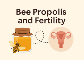 Bee Propolis and Fertility: Can It Really Help You Conceive?
