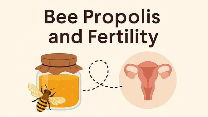 Bee Propolis and Fertility: Can It Really Help You Conceive?