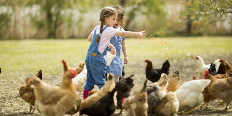 Growing up on a farm can prevent asthma and allergies