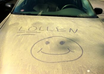 Worsening allergies aren’t your imagination − windy days create the perfect pollen storm