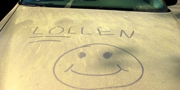 Worsening allergies aren’t your imagination − windy days create the perfect pollen storm