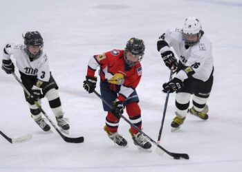 Maple Leafs’ goalie Anthony Stolarz’s injury highlights concerns about concussion in ice hockey