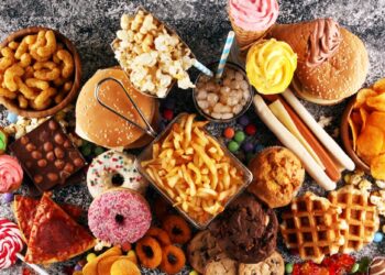 MAHA report on children’s health highlights harms of ultraprocessed foods – a food scientist explains the research