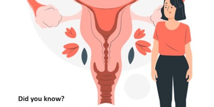 Preventing urinary tract infections after menopause: What every woman should know