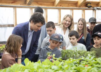 The food affordability crisis is one reason governments need to step up for school food