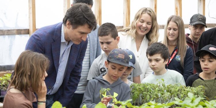 The food affordability crisis is one reason governments need to step up for school food