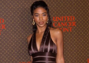 Ananda Lewis, the Former TV Host & VJ Has Died at 52