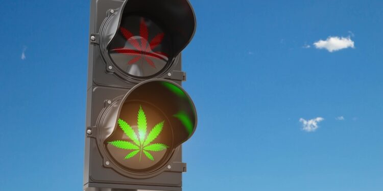 Can Cannabis Threaten Your Cardiac Health?