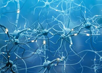 There is no known cure for ALS, but medical tourism exploits desperation for profit