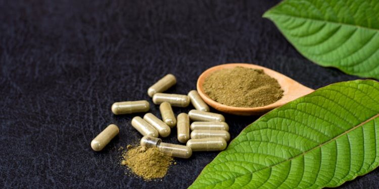 Balancing kratom’s potential benefits and risks − new legislation in Colorado seeks to minimize harm